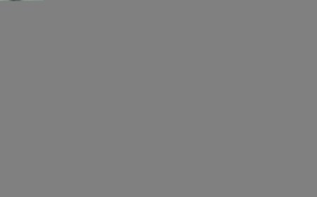 p171ecsmea1qoj1r35nhkdt4g2m3
