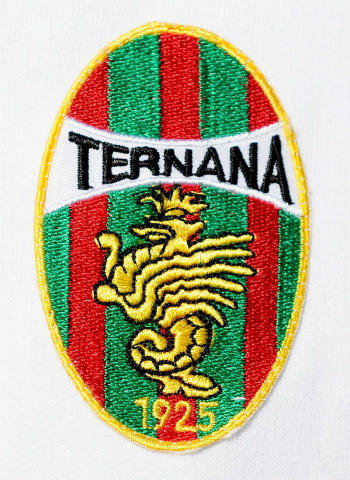 Ufficiale: Ternana, ecco Botta come previsto preview