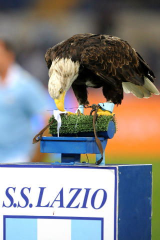 Lazio: contro il Tottenham conta solo vincere preview