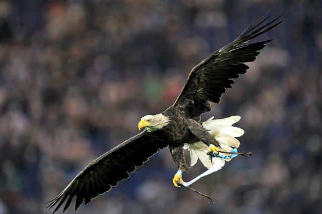 Gascoigne: “La Lazio sempre nel mio cuore” preview