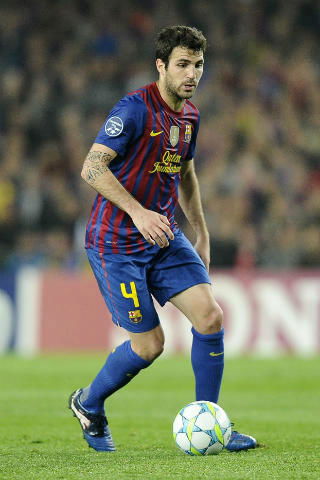 Barça: Fabregas fuori un mese preview