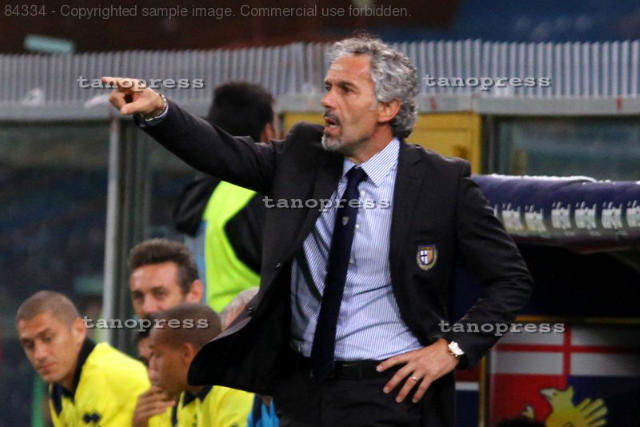Donadoni è felice a Parma preview
