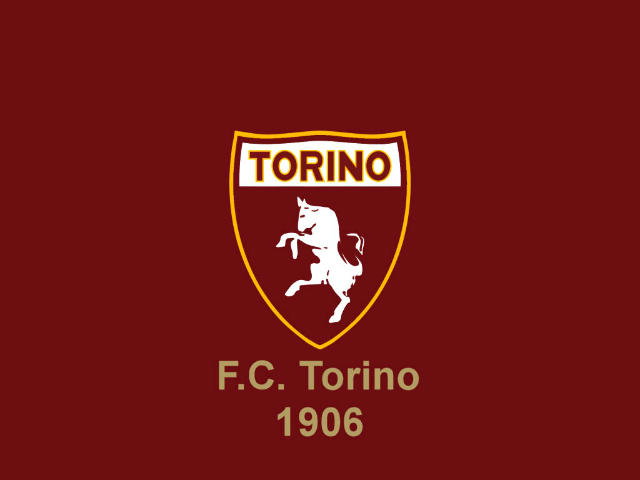 Toro, tanti club in corsa per Ogbonna preview