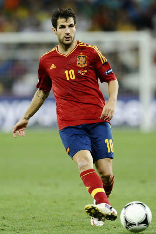 Il Manchester United pensa a Fabregas preview