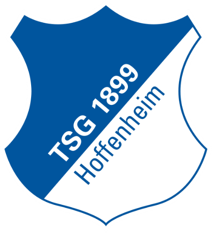 Hoffenheim: arriva Modeste dal Bordeaux preview