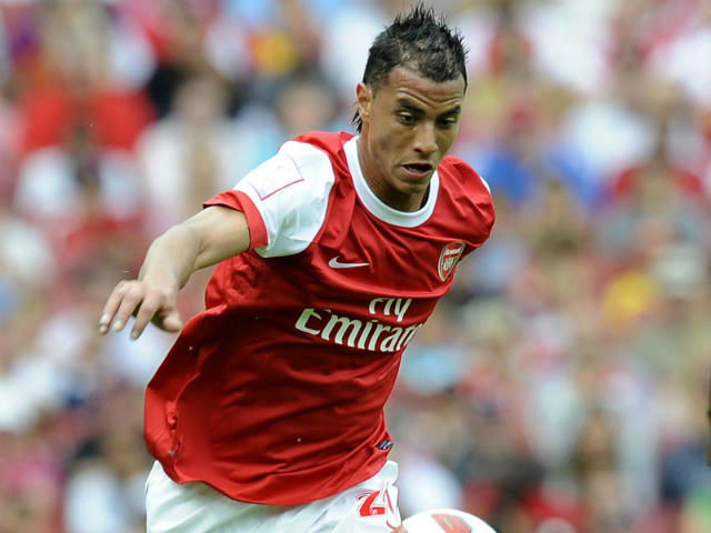 Arsenal: Chamakh va in prestito al Crystal Palace preview