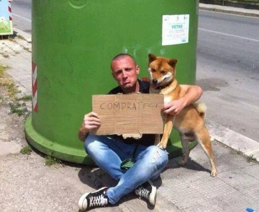 Bari e il Bari non meritano certi schiaffi preview