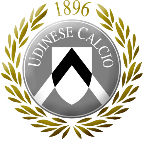 Udinese, ufficiale l’acquisto di Hallfredsson preview
