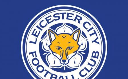Leicester Logo ok