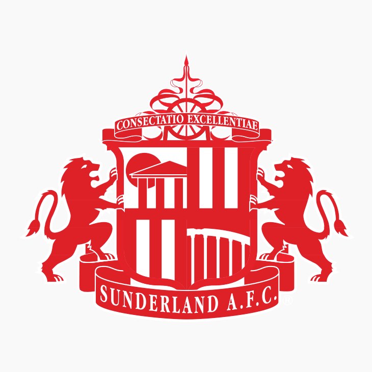 Ufficiale: Sunderland, presi McNair e Love dallo United article-post