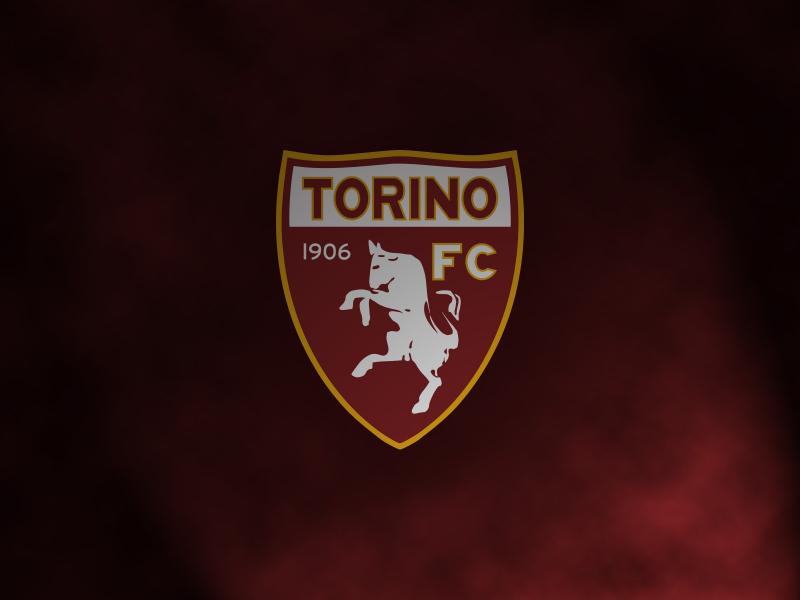 Ora è anche ufficiale: Iago Falque e Ljajic al Torino preview