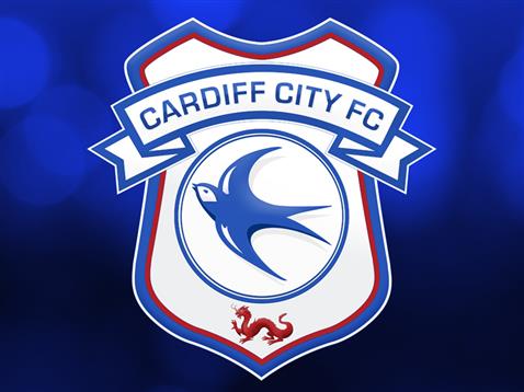 Cardiff: rescissione per Richardson e Chamakh preview