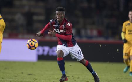 Donsah sito Bologna
