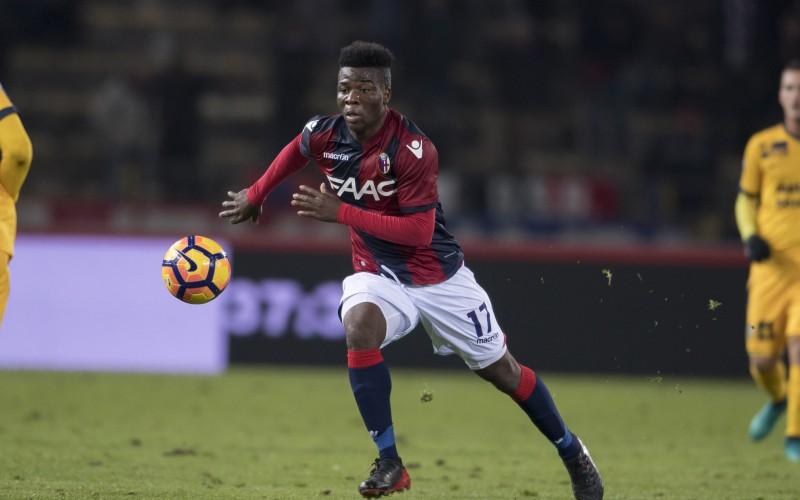 Donsah sito Bologna
