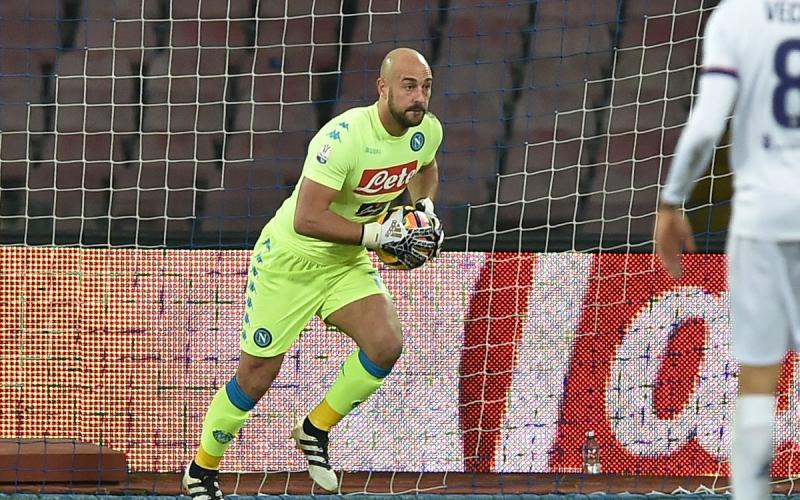 Reina Napoli
