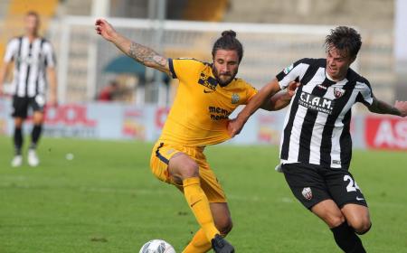 Zuculini Twitter Verona