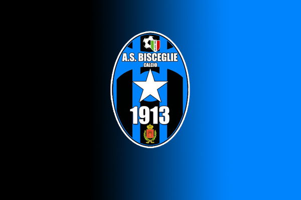 La ricostruzione di Canonico sintesi della crisi profonda del Bisceglie preview