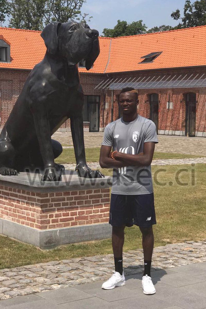 Ufficiale: Lille, tra i pali arriva Koffi preview