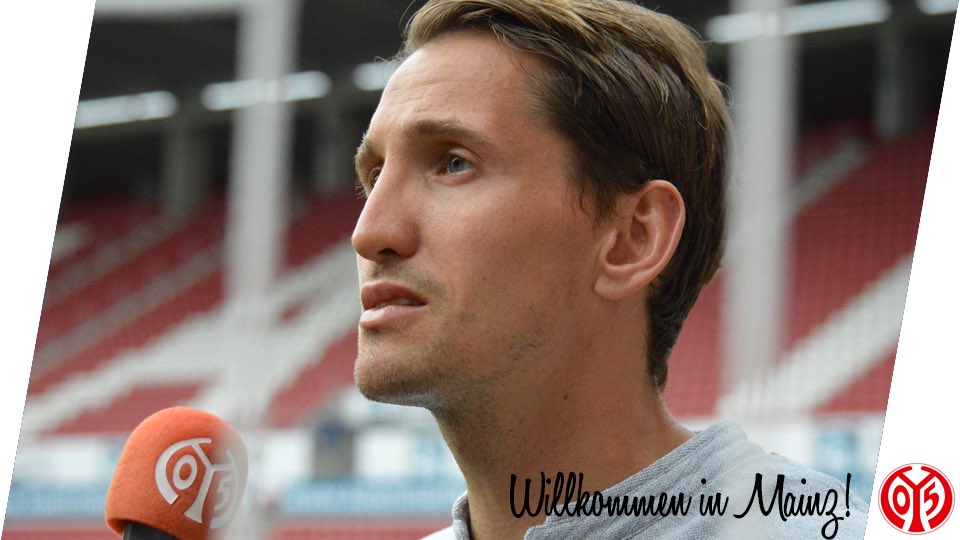 Ufficiale: Mainz, tra i pali arriva René Adler a parametro zero article-post