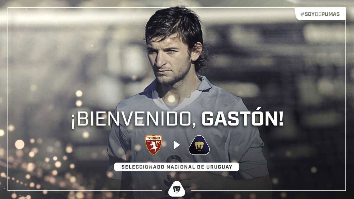 Ufficiale: Pumas, preso Gaston Silva dal Torino article-post