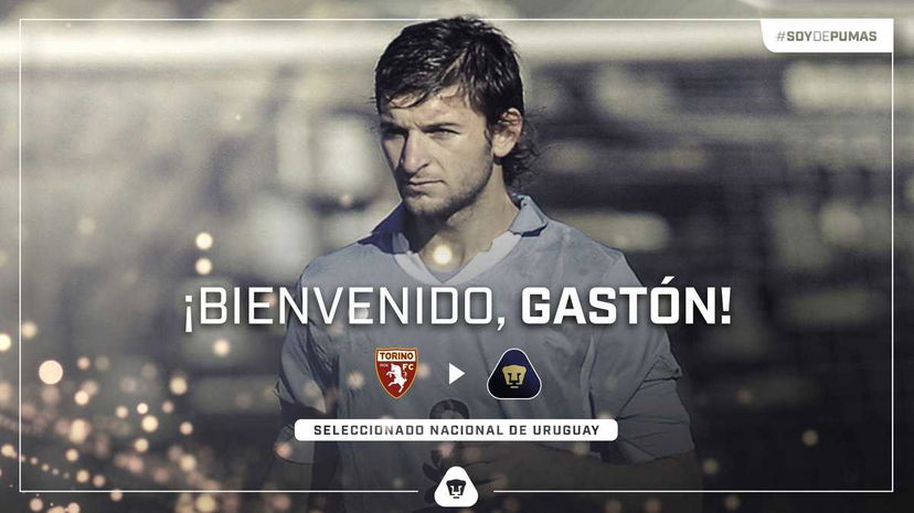 Ufficiale: Pumas, preso Gaston Silva dal Torino preview