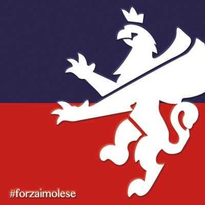 Ufficiale: Imolese, si dimette il tecnico Filippini. Panchina affidata a Gadda article-post