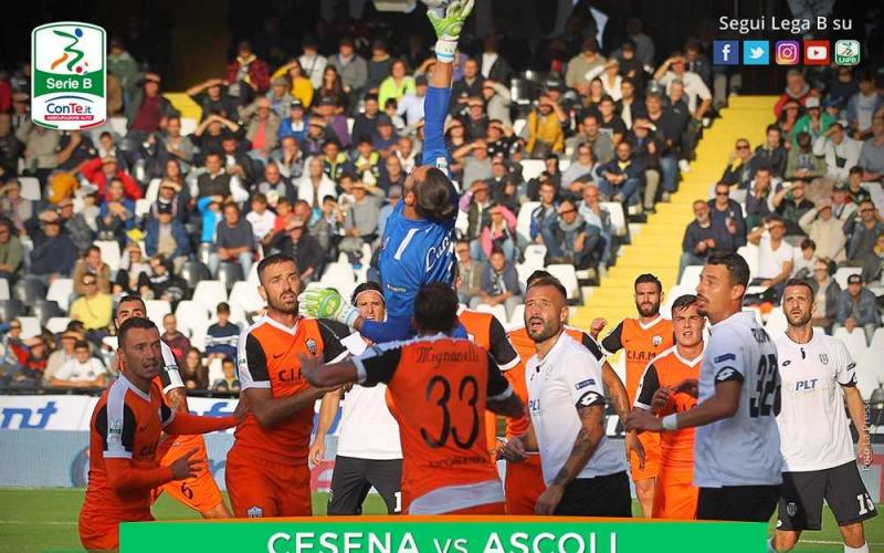 cesasc