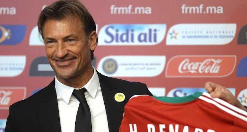 Renard Actu Foot