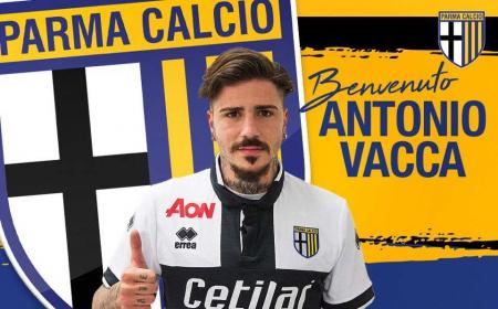 Vacca Twitter ufficiale Parma