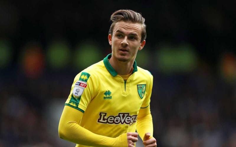 Maddison Norwich Foto lionofviennasuite