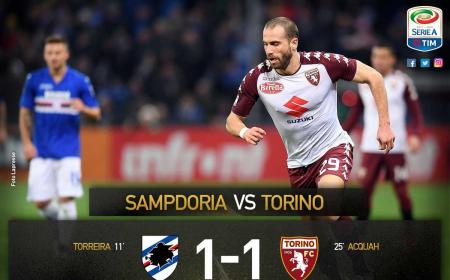 Sampdoria Torino 1-1