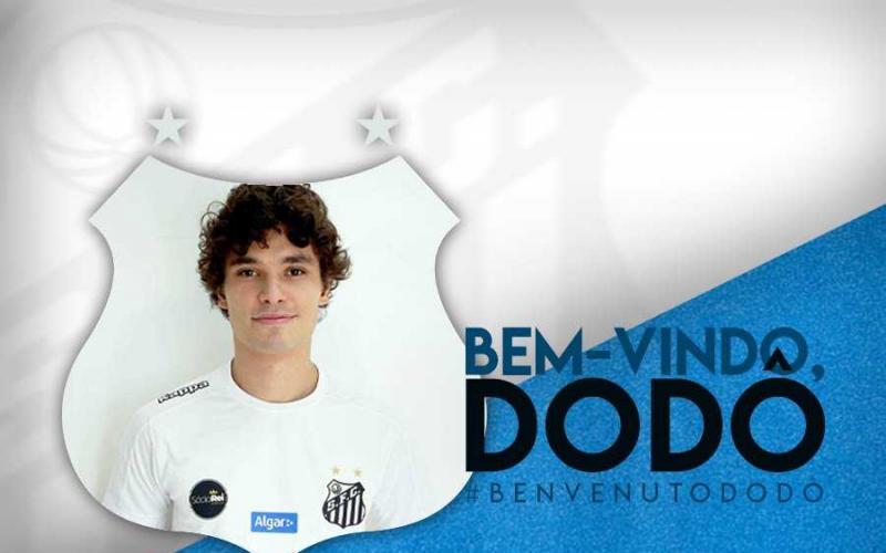 dodo