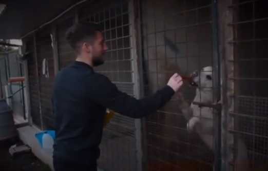 Mertens cuore d’oro: visita ai bambini malati, ai cani e non solo. Il video preview