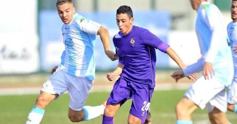 tw cuneo caso