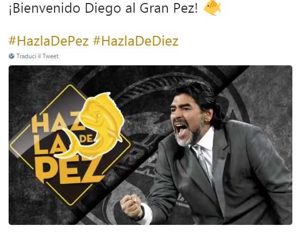 Maradona riparte dal Messico: è il nuovo allenatore dei Dorados de Sinaloa preview