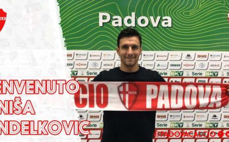 Andelkovic Padova Twitter