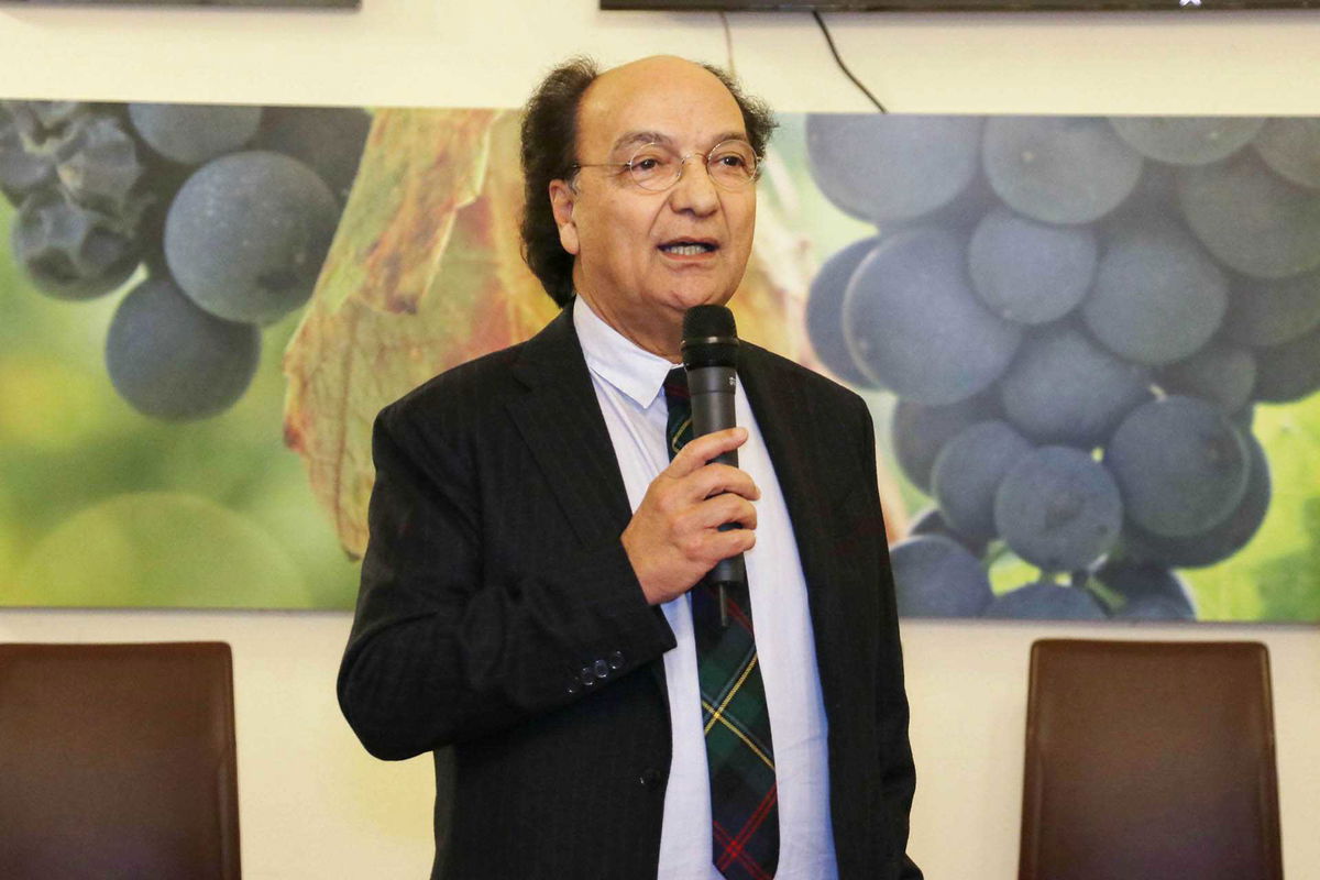 Guarascio: “Il Cosenza deve riprendere il suo cammino” article-post