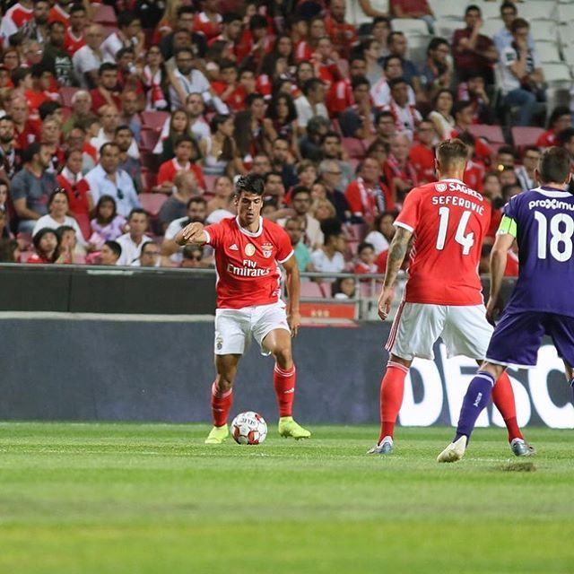 Juventus: in arrivo Joao Ferreira dal Benfica preview