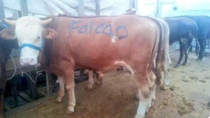 Falcao-Galatasaray, cresce l’attesa dei tifosi turchi. Ecco come lo stanno aspettando… preview