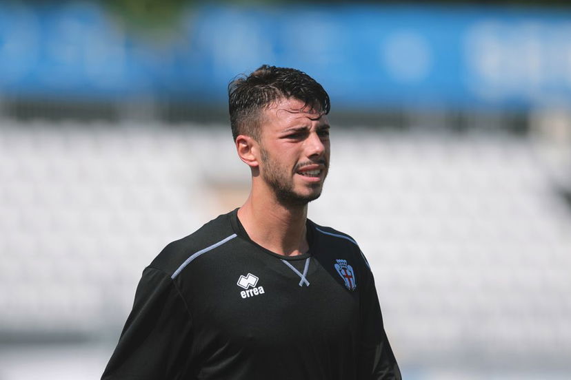 Como, Gatto sottoposto a intervento chirurgico preview