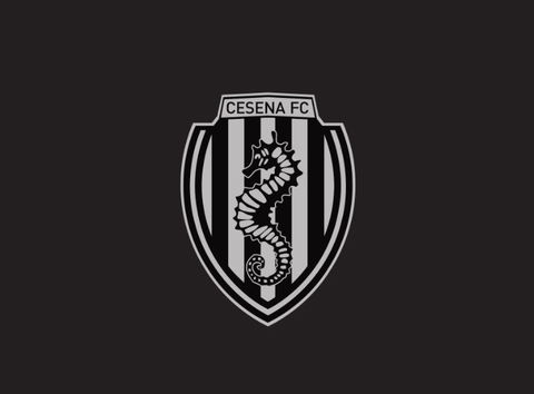 Esclusiva: clamoroso Cesena, il nuovo allenatore sarà Ashley Cole preview