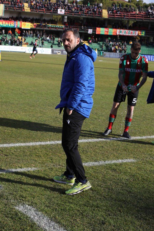 Gallo - Ternana