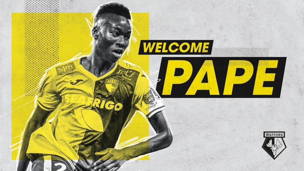 Pape Gueye - Watford Twitter