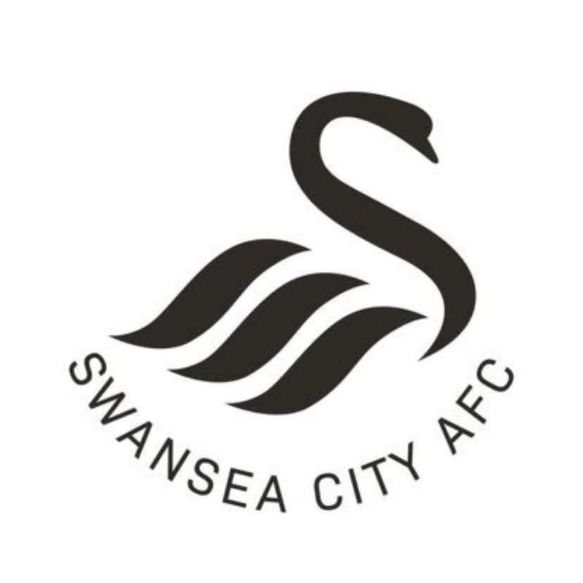Lo Swansea e l’iniziativa contro il razzismo: stop ai social per una settimana preview
