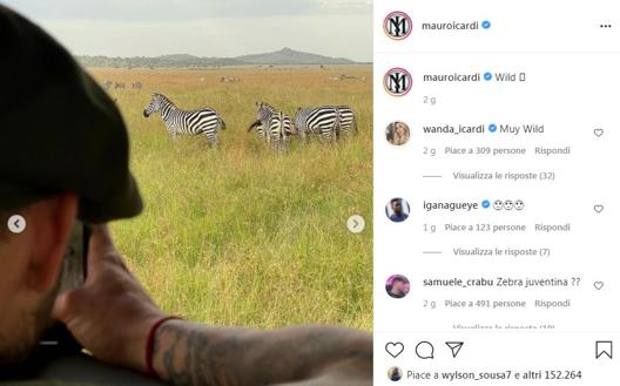 Icardi fotografa zebre nel Safari: i tifosi della Juve lo sognano a Torino preview