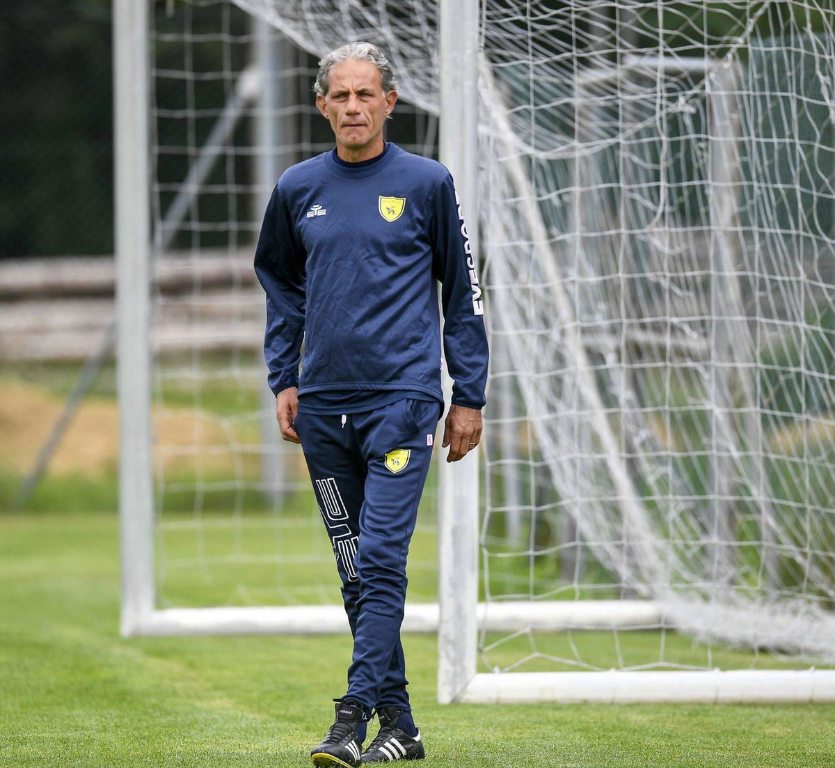 Cosenza, conferme su Zaffaroni. Ma prima la decisione sul Chievo article-post