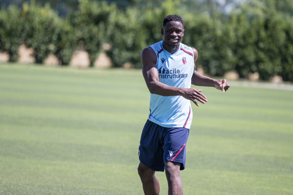 Bologna, differenziato per Soumaoro e Odgaard article-post