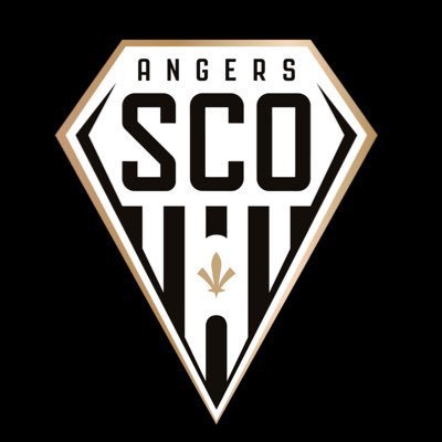 Ufficiale: Angers, esonerato Baticle preview