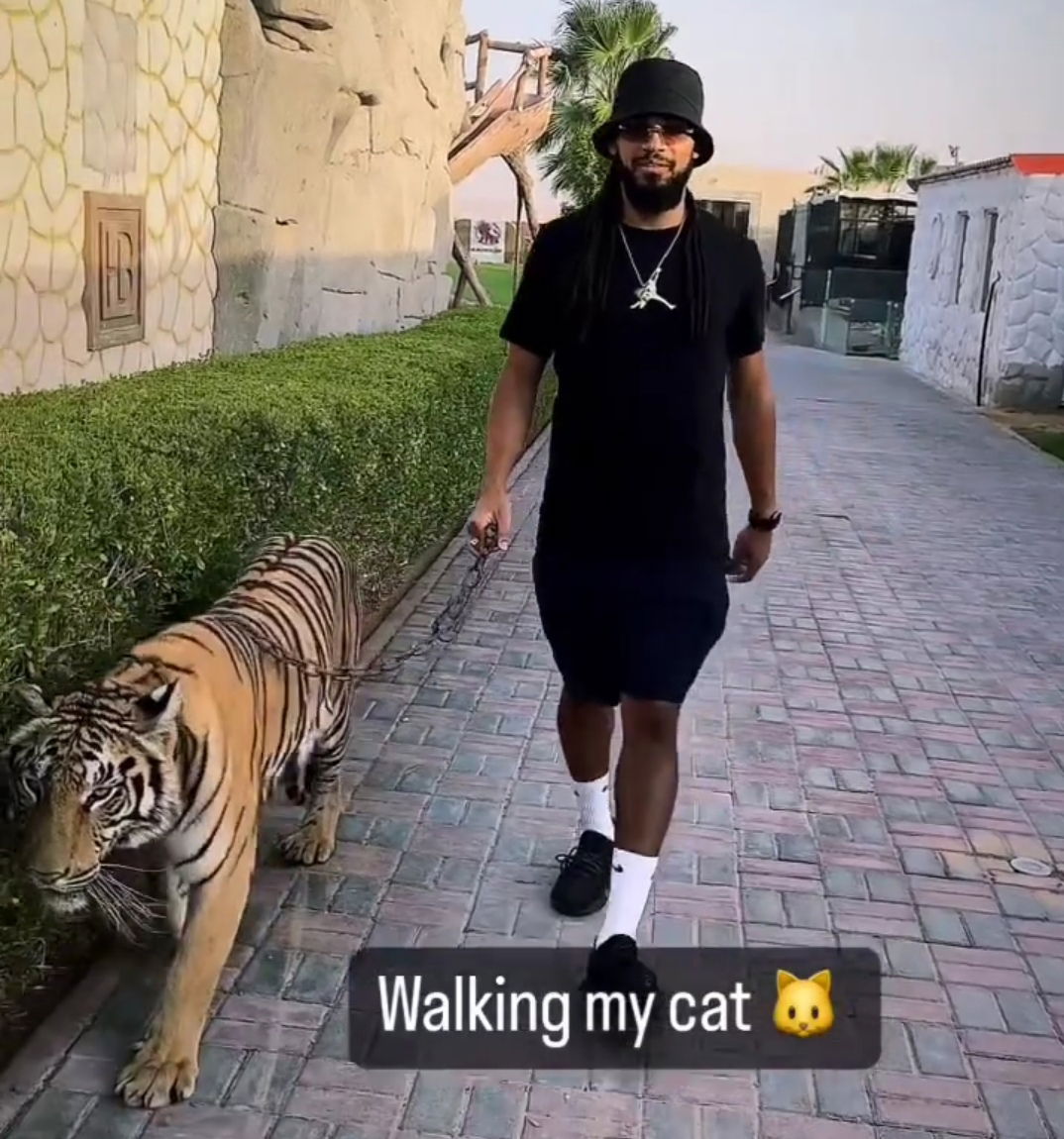 Jason Denayer a spasso con una tigre al guinzaglio. La foto choc dell’ex Manchester City article-post