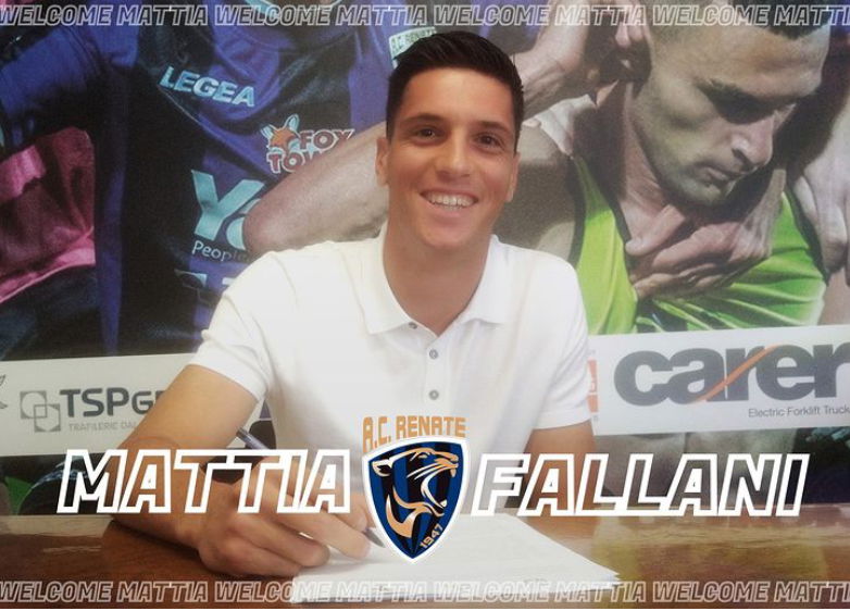 Ufficiale: Fallani è un nuovo giocatore del Renate preview